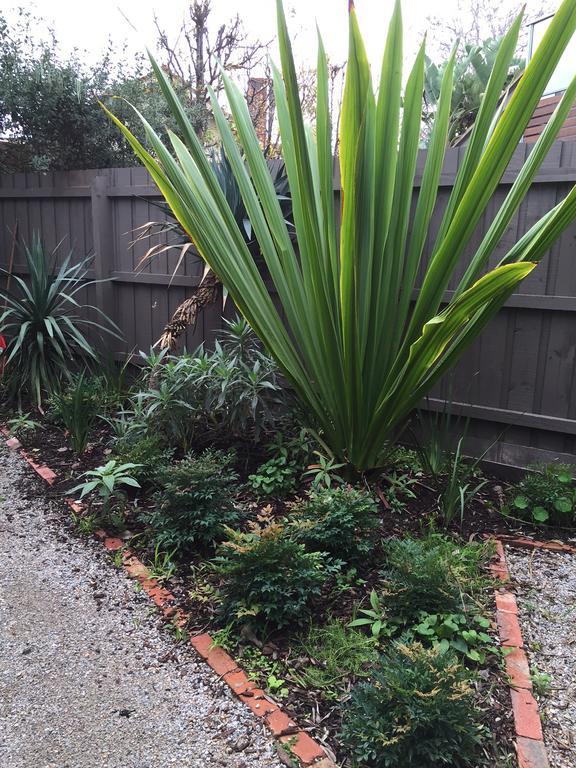 Garden Cottage St Kilda Melbourne City Exterior foto